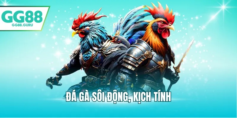 Đá gà sôi động, kịch tính