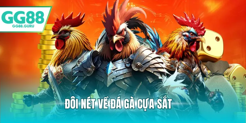 Đôi nét về đá gà cựa sắt