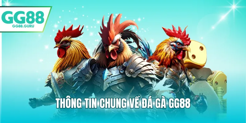 Thông tin chung về đá gà GG88
